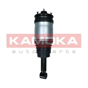 2070026 KAMOKA
