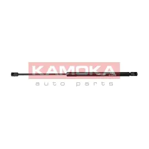 7092010 KAMOKA