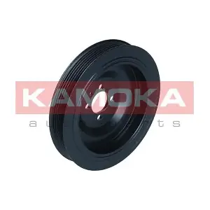 RW088 KAMOKA