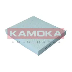 KAMOKA F424301