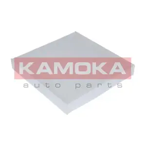 KAMOKA F403001