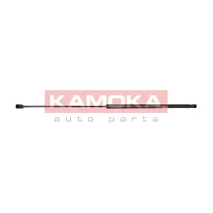 7091145 KAMOKA