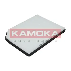 F407801 KAMOKA