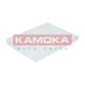 F413101 KAMOKA