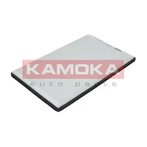 KAMOKA F407001