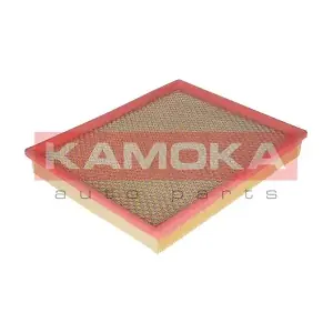 KAMOKA F212001