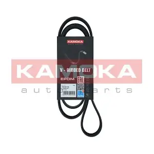 7016118 KAMOKA