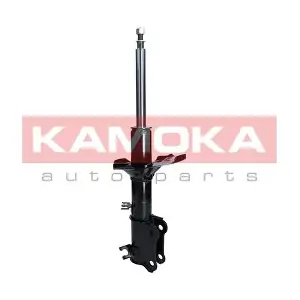 2000458 KAMOKA