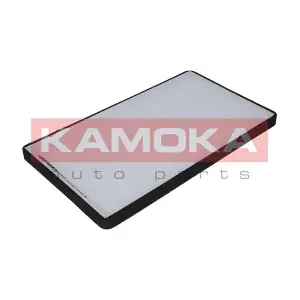 KAMOKA F405501
