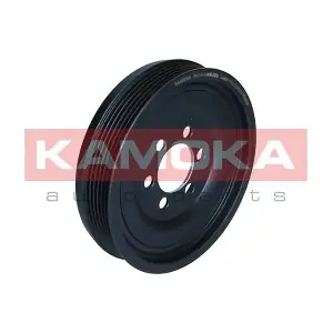 RW099 KAMOKA