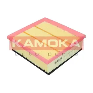 KAMOKA F225101