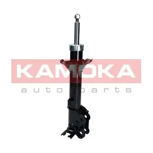 2001042 KAMOKA