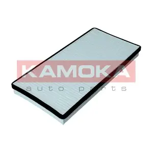 KAMOKA F403401