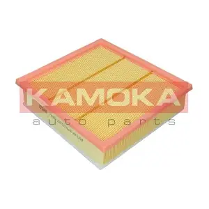 F240601 KAMOKA