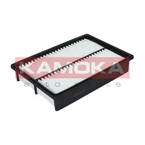 KAMOKA F211701