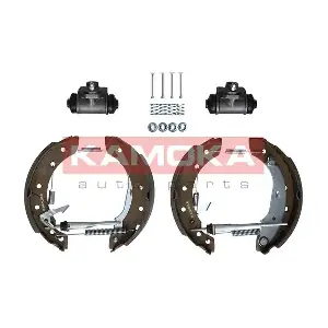 JQ213008 KAMOKA
