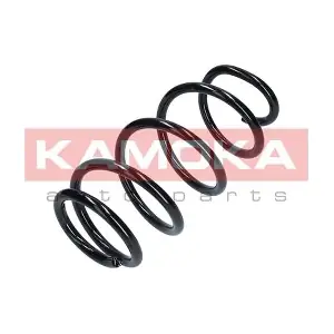 2110294 KAMOKA