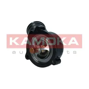7710263 KAMOKA