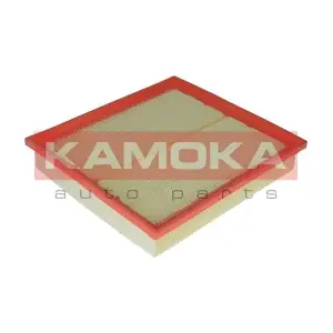 KAMOKA F217801
