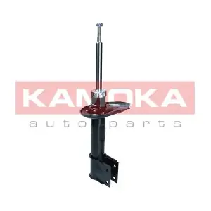 2000595 KAMOKA