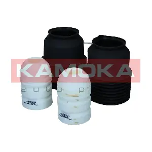 2019243 KAMOKA