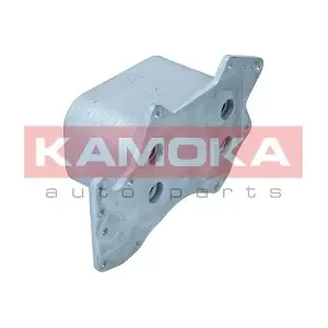 7730089 KAMOKA