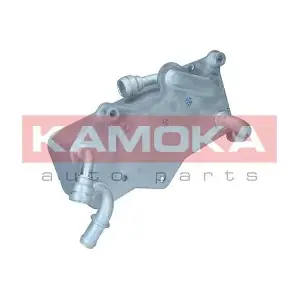 7730149 KAMOKA