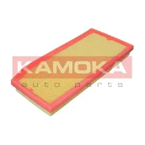 F257301 KAMOKA