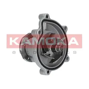 KAMOKA T0182