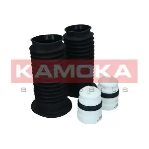 2019217 KAMOKA