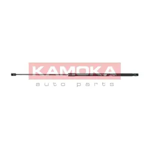 7091066 KAMOKA