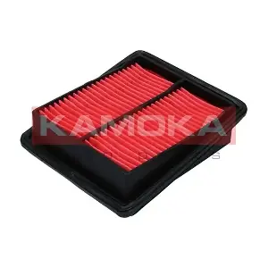 F245301 KAMOKA
