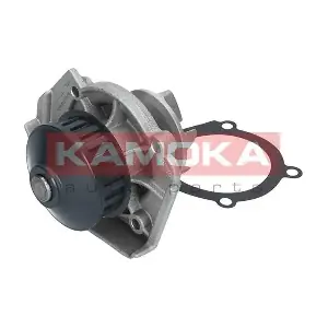 KAMOKA T0117