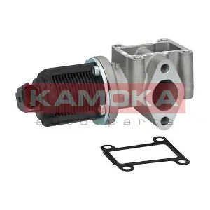 KAMOKA 19013