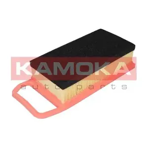 F223801 KAMOKA