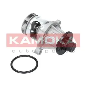 KAMOKA T0056