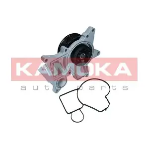 KAMOKA T0298