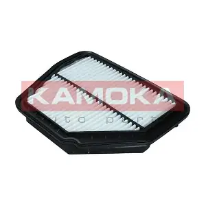 KAMOKA F246101