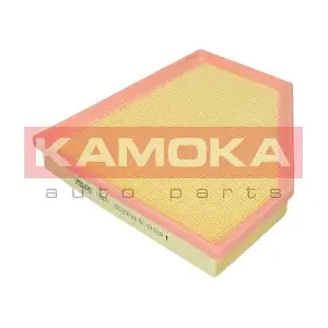 F252601 KAMOKA