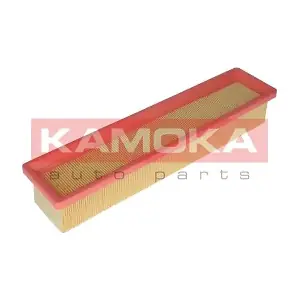 KAMOKA F229101