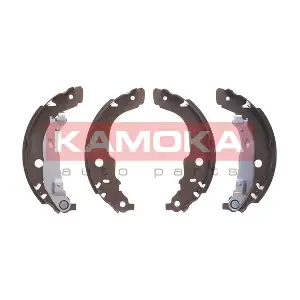 JQ202061 KAMOKA