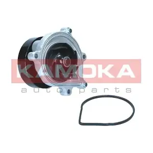 KAMOKA T0299