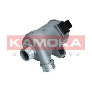T9003 KAMOKA