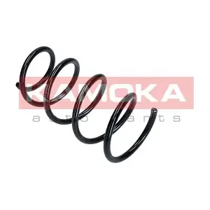 2110295 KAMOKA
