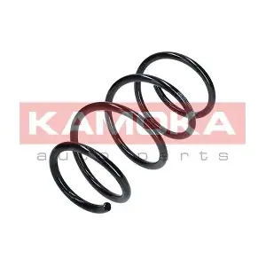 2110256 KAMOKA