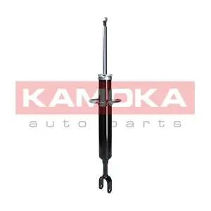 2000028 KAMOKA
