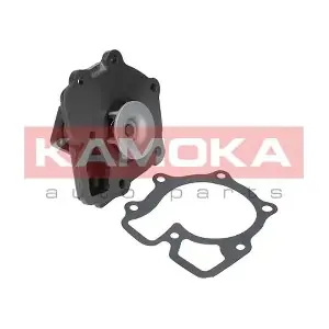 KAMOKA T0143