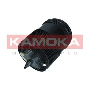 2079015 KAMOKA