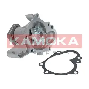 T0158 KAMOKA