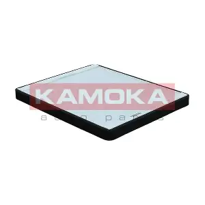 KAMOKA F408101